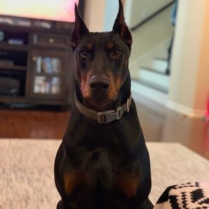 Meet your Posher, Eduardo